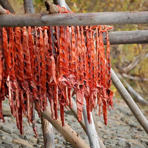 Những Lợi Ích Của Thực Phẩm Sấy Khô Mà Không Phải Ai Cũng Biết?